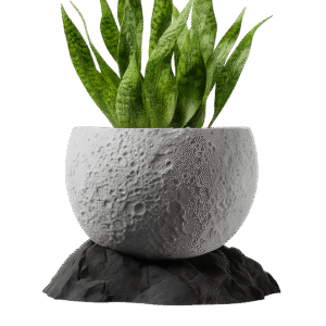 Moon Planter - אגרטל ירח