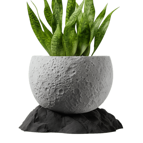 Moon Planter - אגרטל ירח